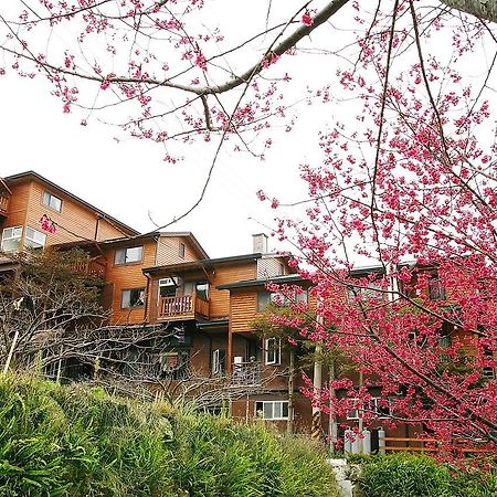Walk Cloud Bed And Breakfast Meishan Dış mekan fotoğraf