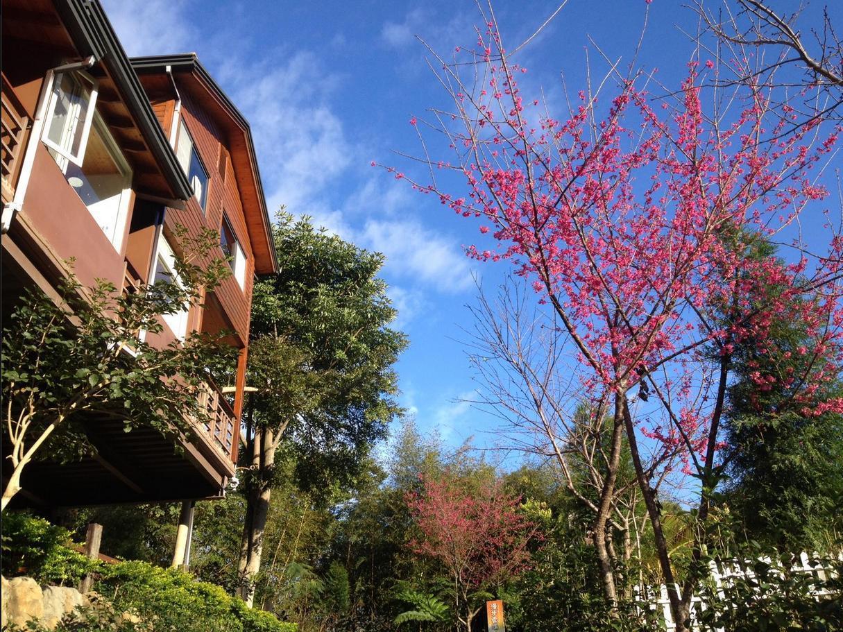 Walk Cloud Bed And Breakfast Meishan Dış mekan fotoğraf