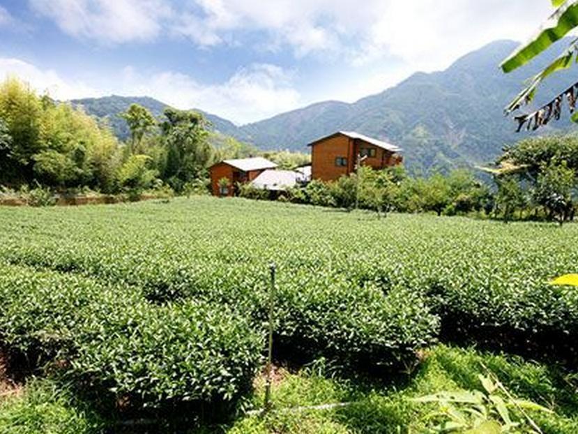 Walk Cloud Bed And Breakfast Meishan Dış mekan fotoğraf