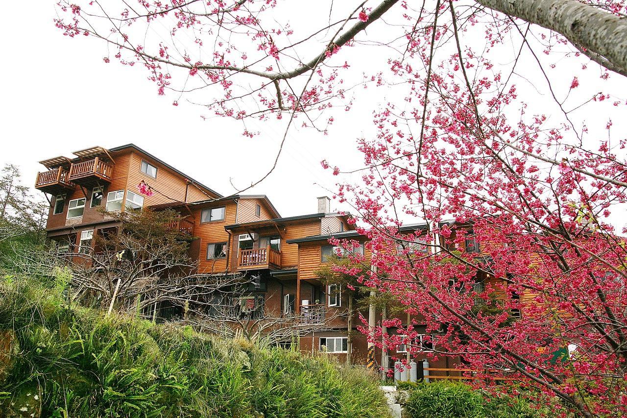 Walk Cloud Bed And Breakfast Meishan Dış mekan fotoğraf